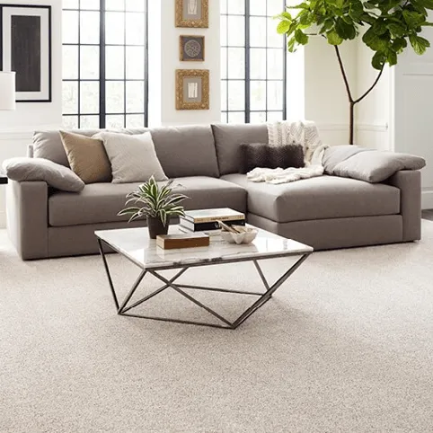 FindYourComfortAccent-EA822-00193-NewPerspective-LIVINGROOM-H-ALT Carpet Flooring | Total Floors